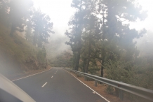 image 20111024-la-palma-roque-de-los-muchachos-1-onderweg-door-de-wolken-jpg