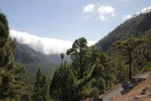 image 20111024-la-palma-parque-nacional-1-la-caldera-de-taburiente-jpg